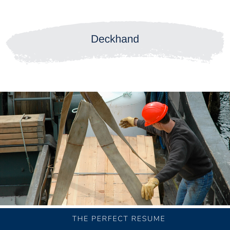 Deckhand Resume Writing Services