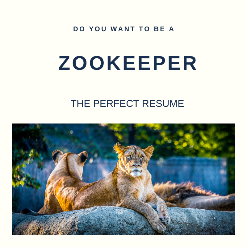 Zookeeper Resume Writing Services