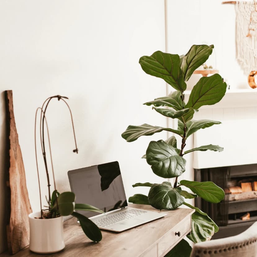 Who To Address Cover Letter To: Get It Right and Get Hired