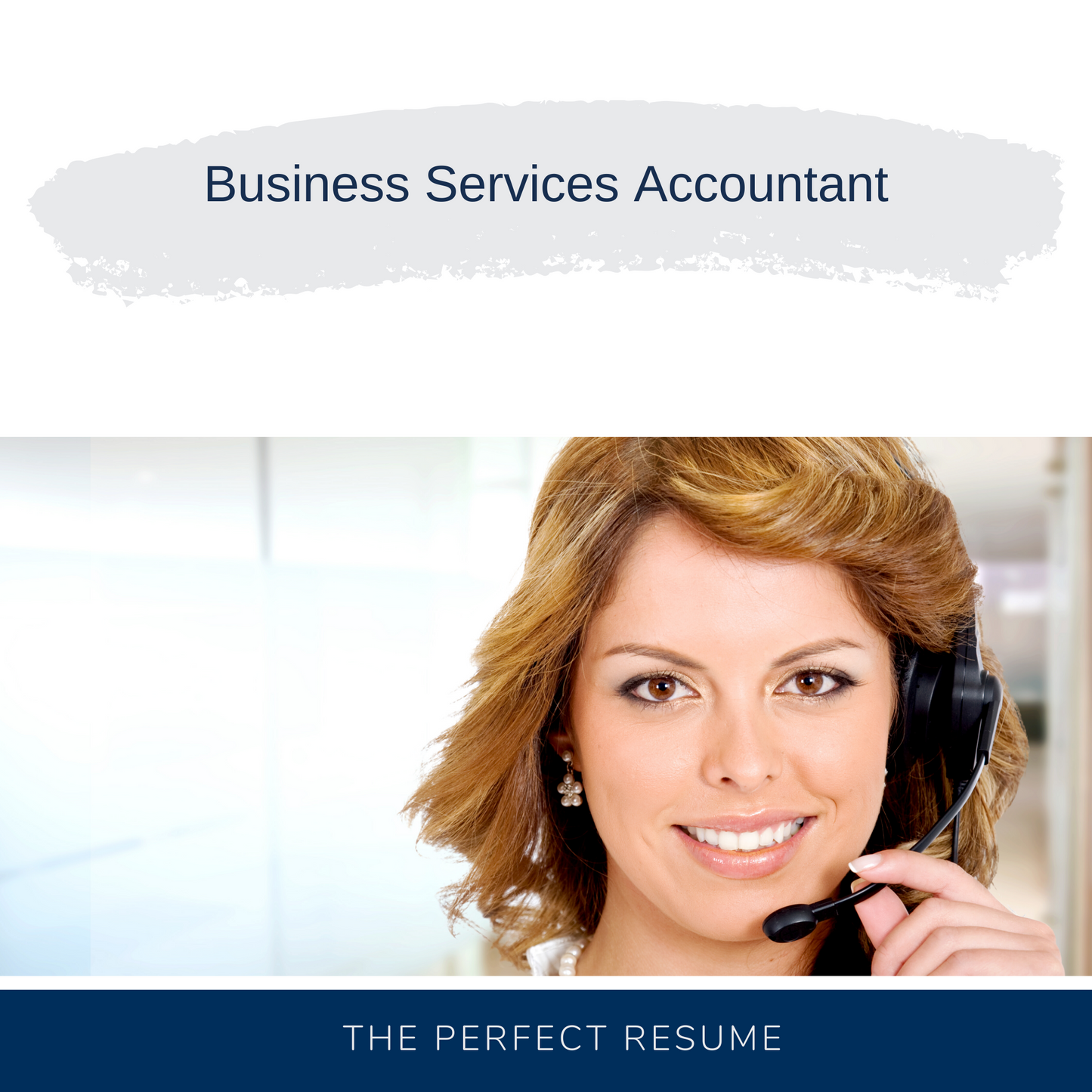 Business Services Accountant Resume Writing Services