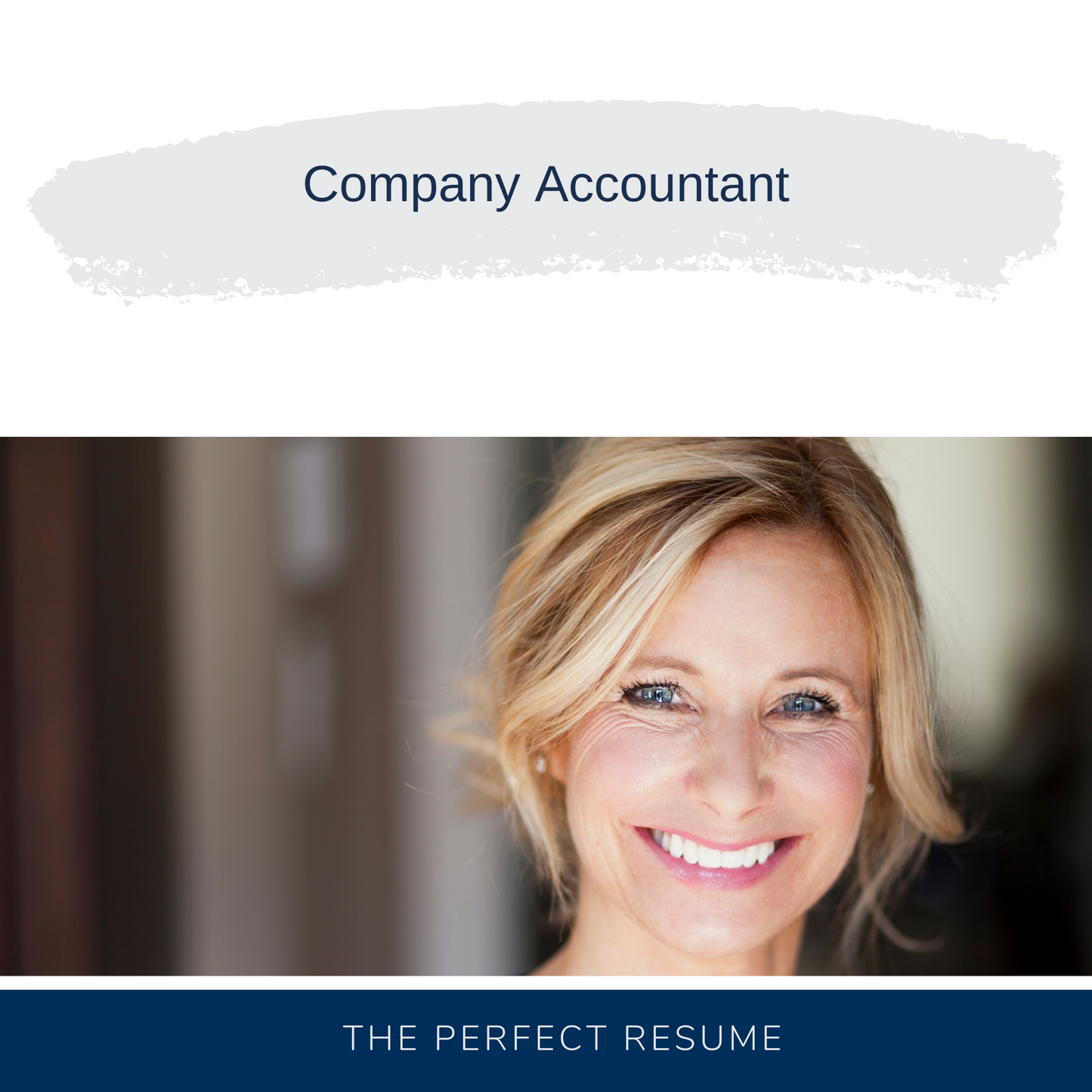 Company Accountant Resume Writing Services