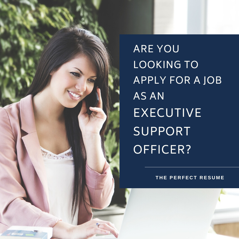 Executive Support Officer Resume Writing Services
