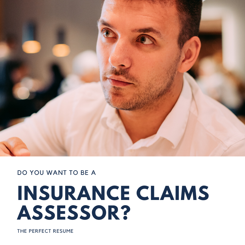 Insurance Claims Assessor Resume Writing Services
