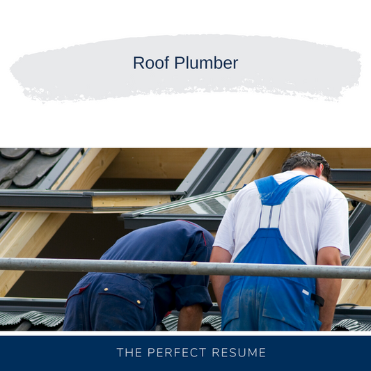 Roof Plumber Resume Writing Services