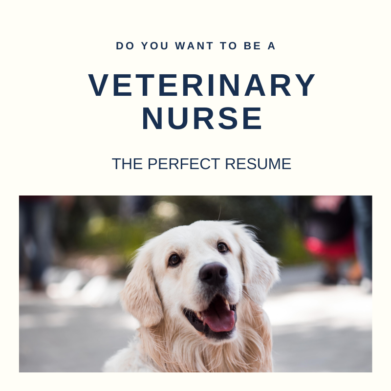 Veterinary Nurse Resume Writing Services