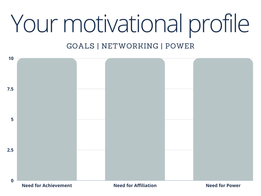 Motivation Profile