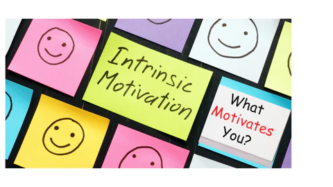 The power of intrinsic motivation