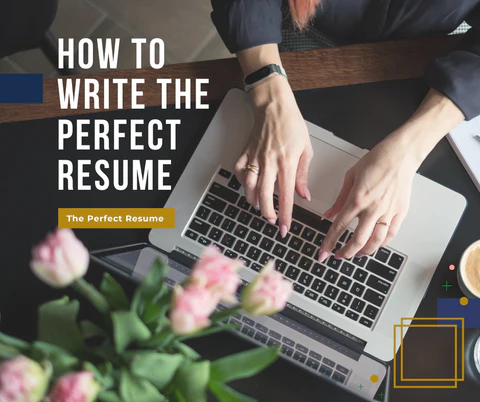Crafting the Perfect Doctor Cover Letter and Resume