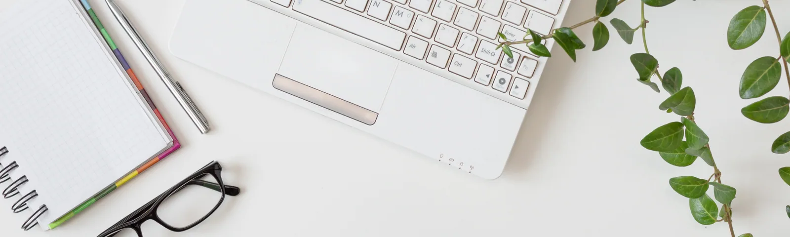 Resume writing support for referred job seekers