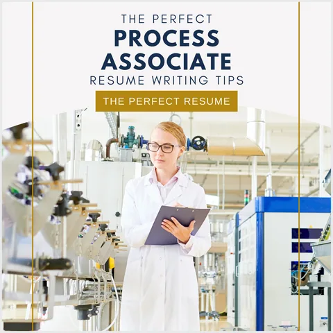 The Perfect Process Associate Resume Writing Tips