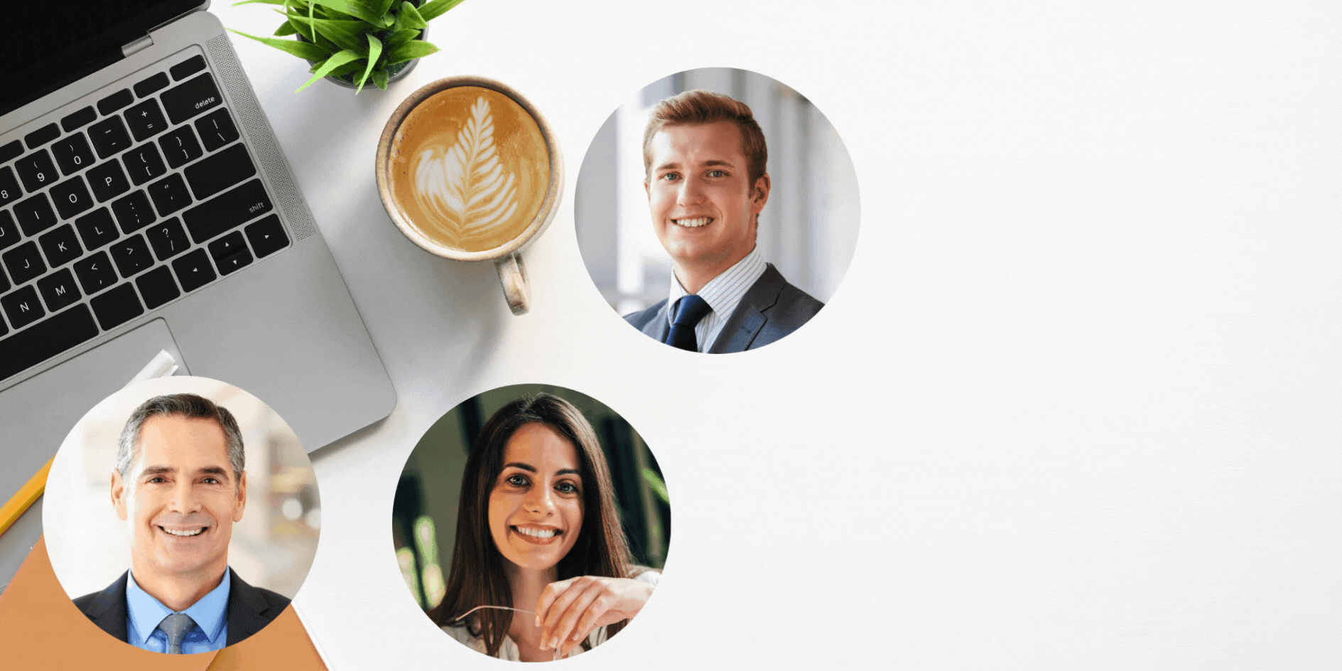 The Perfect Resume services