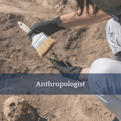 The Perfect Anthropologist Resume Writing Tips