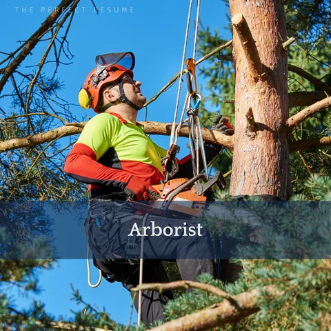The Perfect Arborist Resume Writing Tips