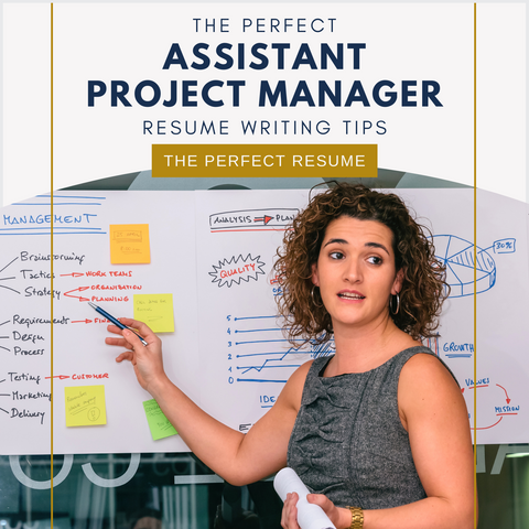 The Perfect Assistant Project Manager Resume Writing Tips