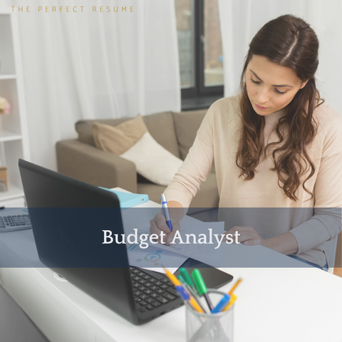 The Perfect Budget Analyst Resume Writing Tips
