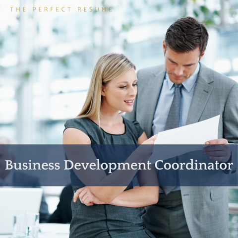 The Perfect Business Development Coordinator Resume Writing Tips