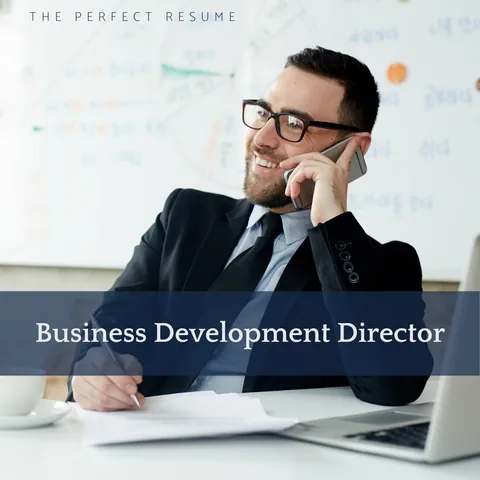 The Perfect Business Development Director Resume Writing Tips