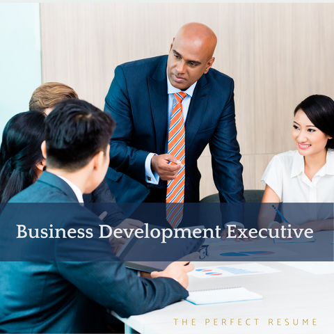 The Perfect Business Development Executive Resume Writing Tips