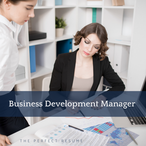 The Perfect Business Development Manager Resume Writing Tips