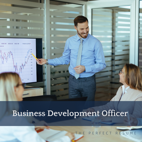 The Perfect Business Development Officer Resume Writing Tips