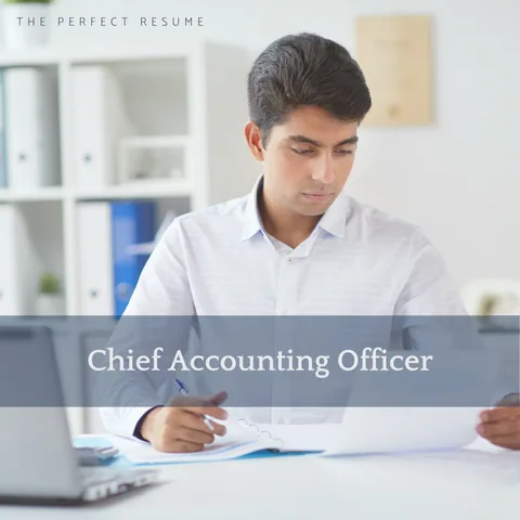The Perfect Chief Accounting Officer Resume Writing Tips