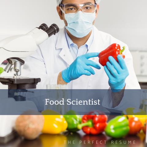 The Perfect Food Scientist Resume Writing Tips