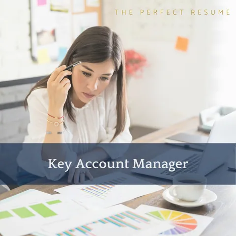 The Perfect Key Account Manager Resume Writing Tips