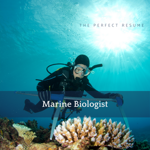 The Perfect Marine Biologist Resume Writing Tips