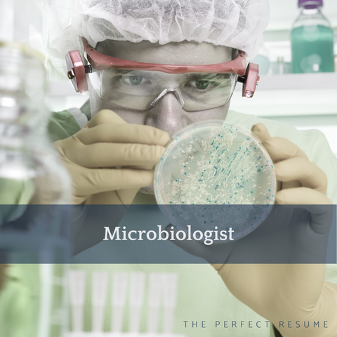 The Perfect Microbiologist Resume Writing Tips