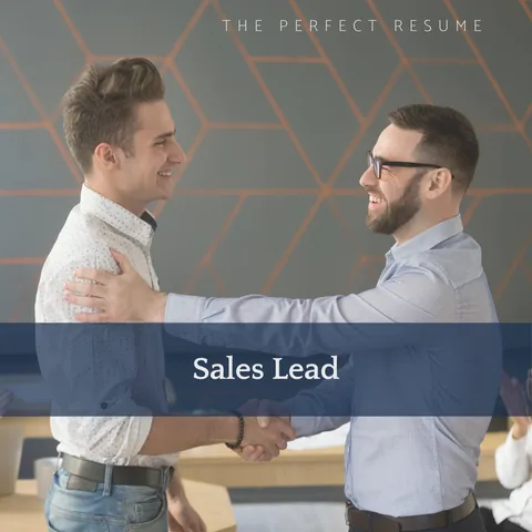 The Perfect Sales Lead Resume Writing Tips