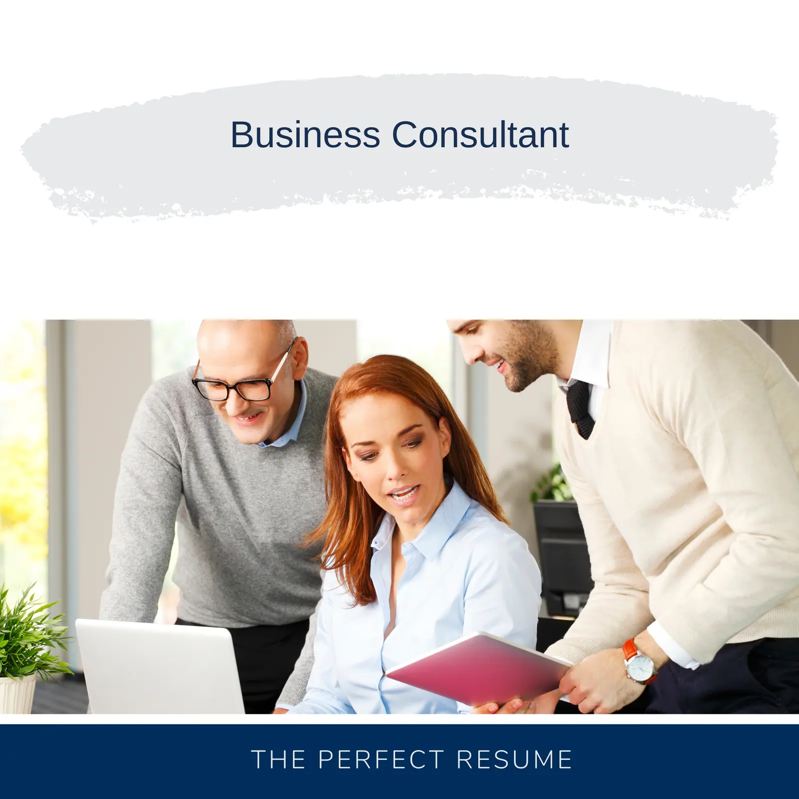 Business Consultant Resume