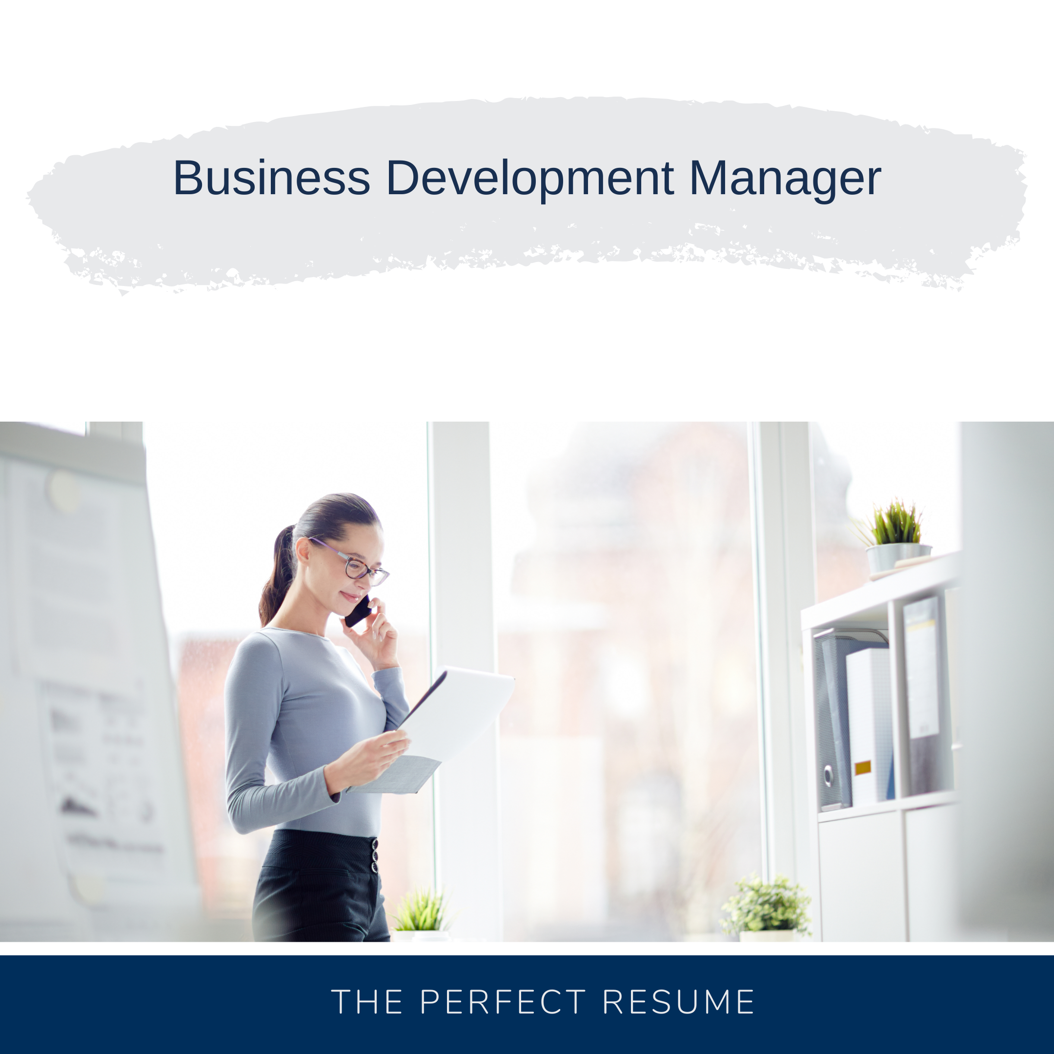 Business Development Manager Resume