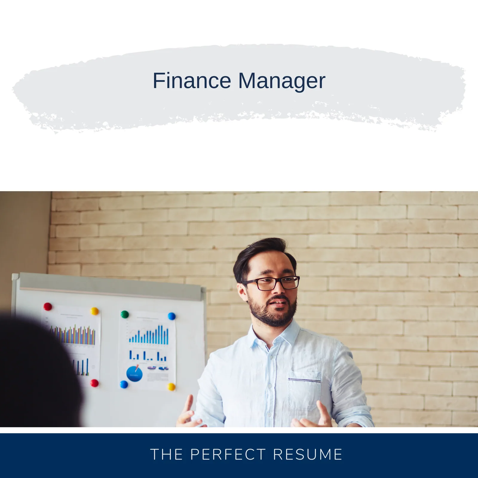 Finance Manager Partner Resume