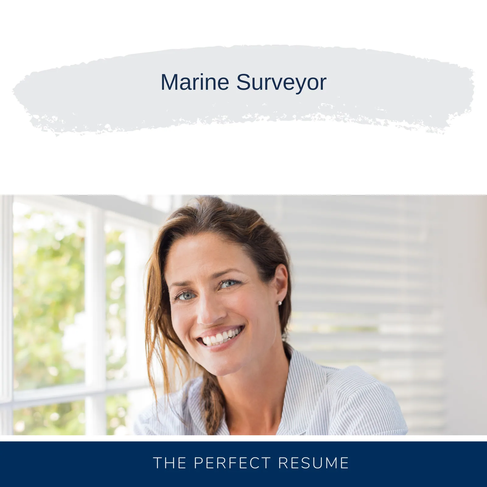 Marine Surveyor Resume