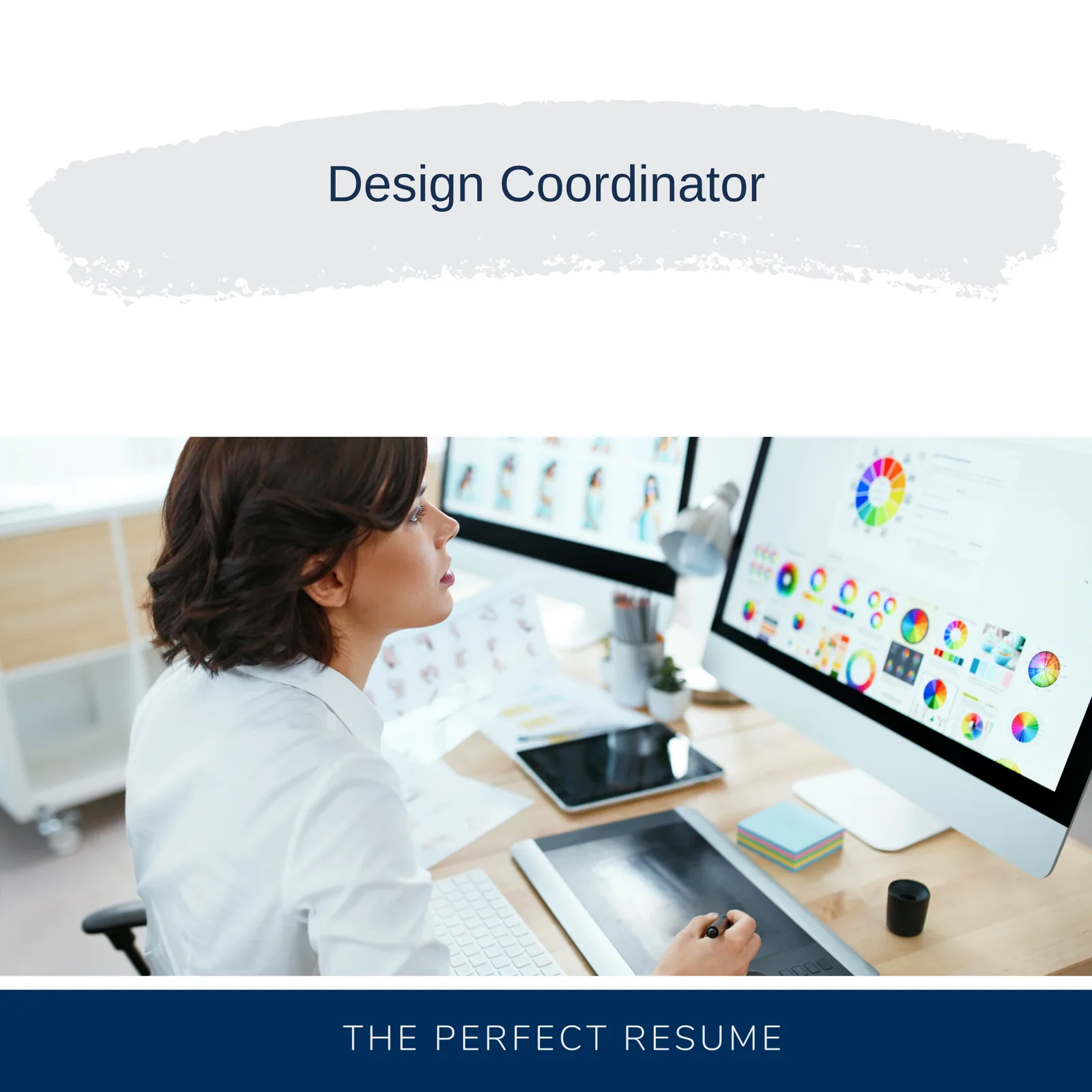 Design Coordinator Resume