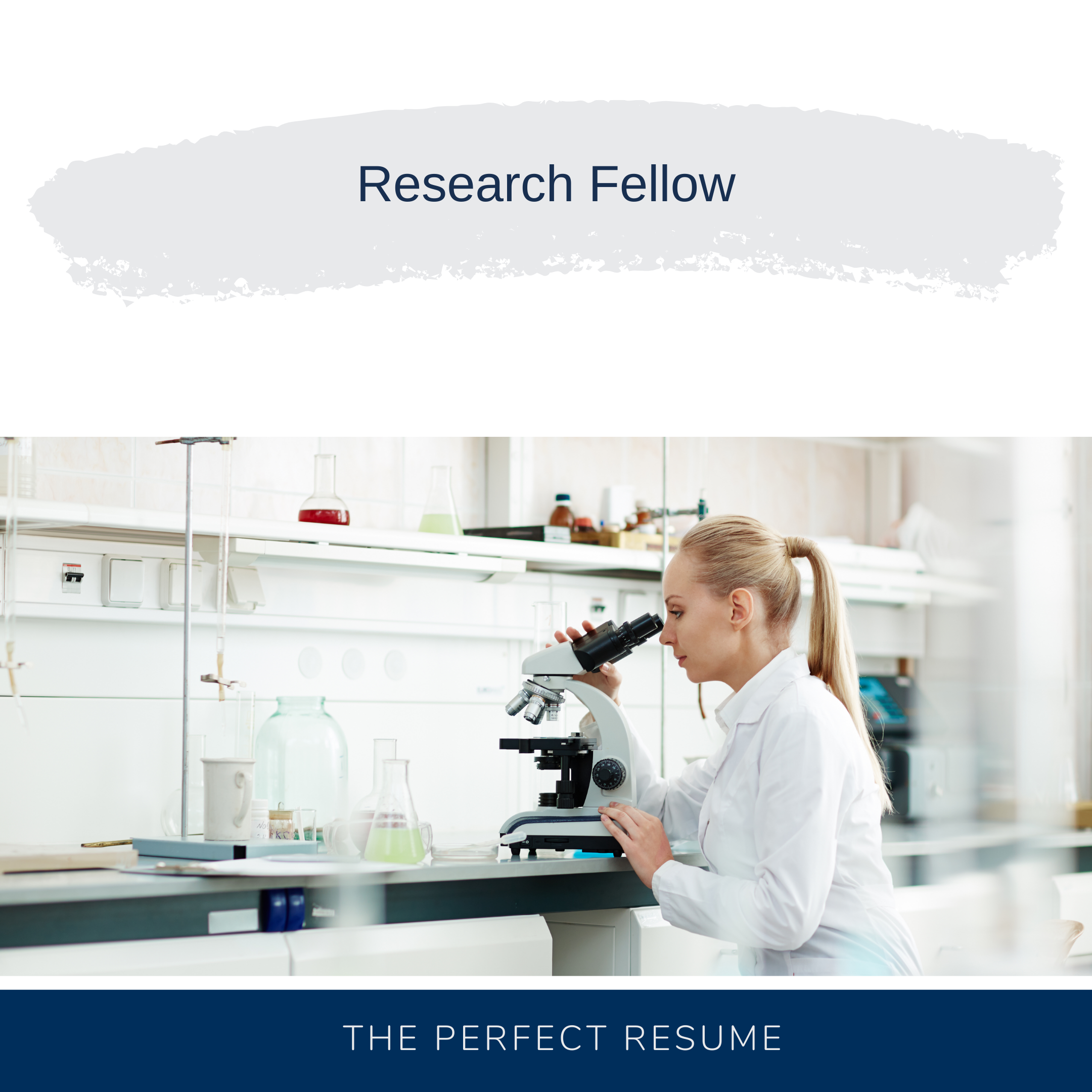 Research Fellow Resume