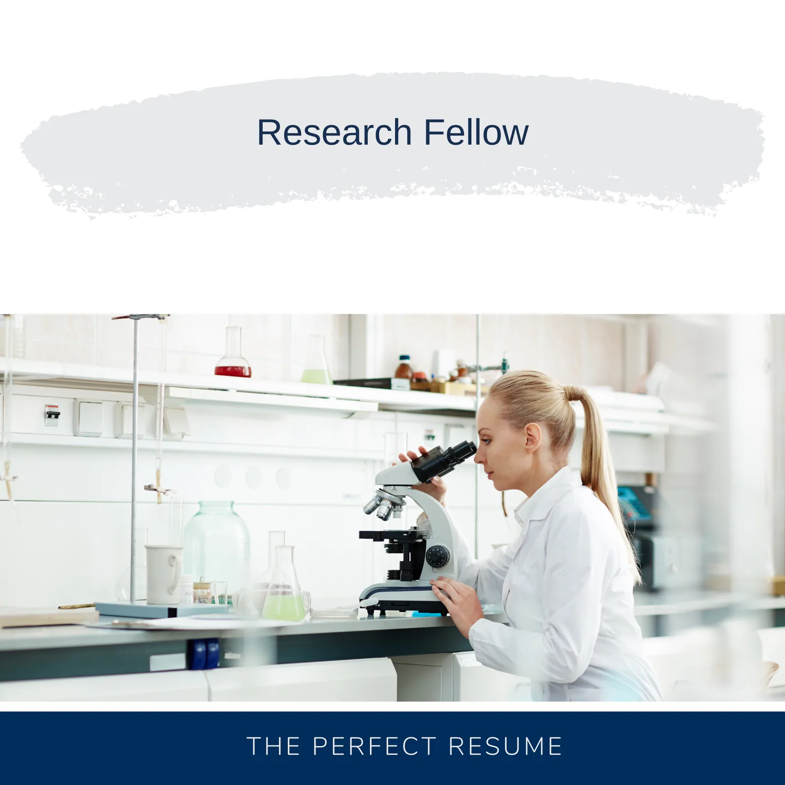 Research Fellow Resume