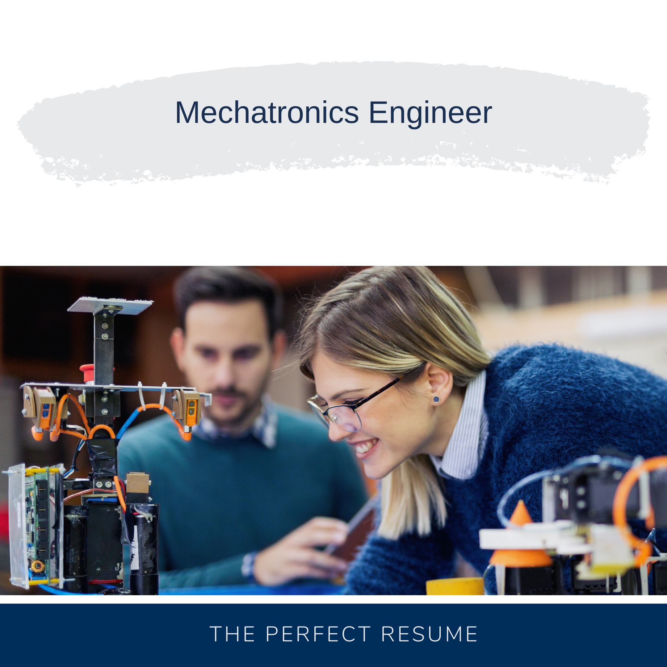 Mechatronics Engineer Resume