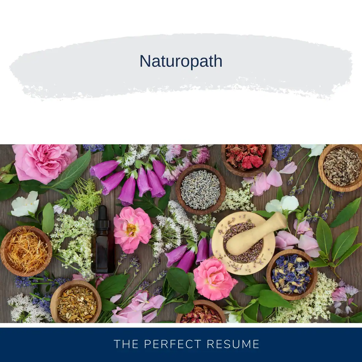 Naturopath Resume