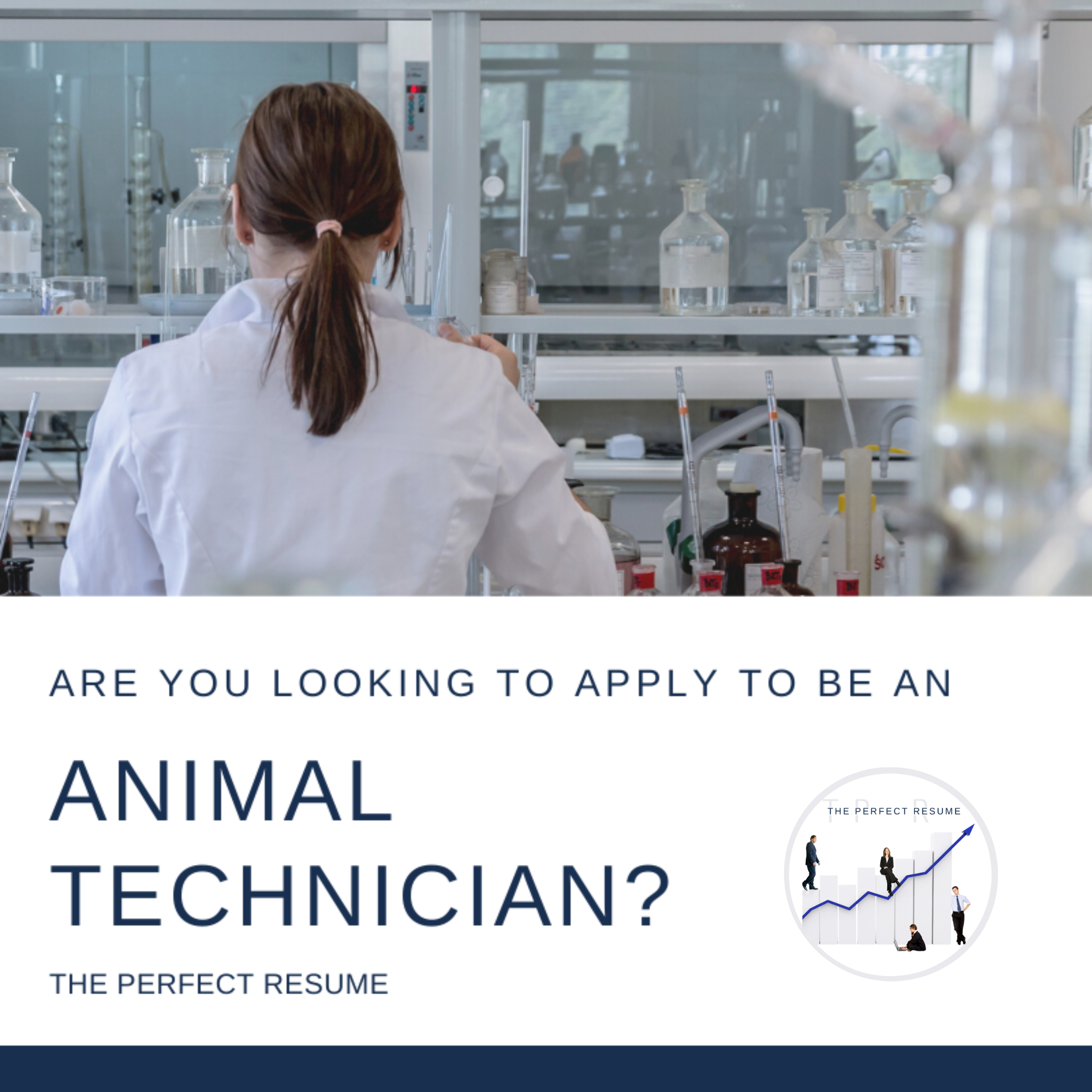 Animal Technician Resume