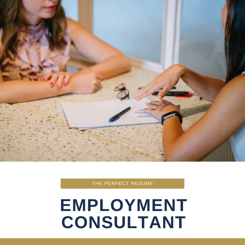 Employment Consultant Resume