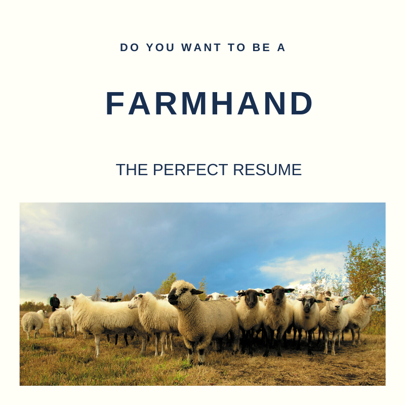 Farmhand Resume