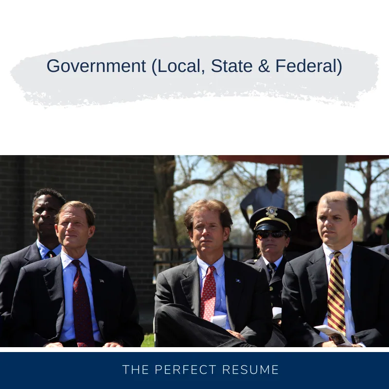 Government (Local, State & Federal) and Public Service Resume