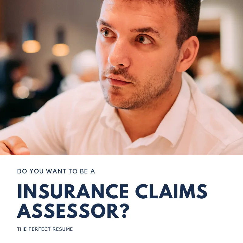 Insurance Claims Assessor Resume