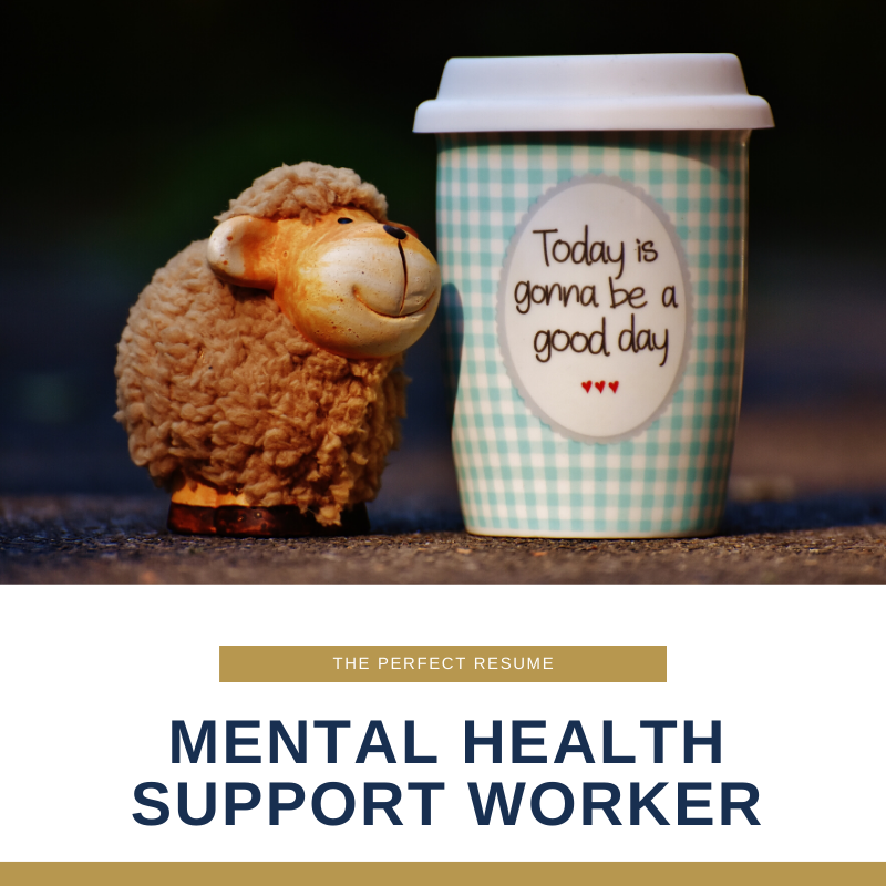 Mental Health Support Worker Resume