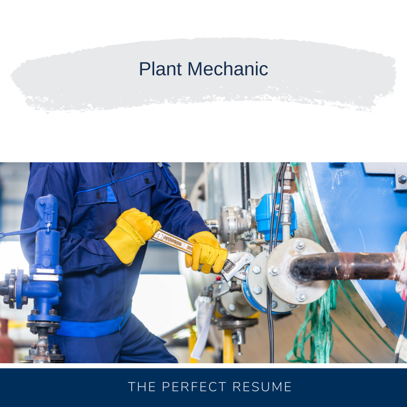 Plant Mechanic Resume