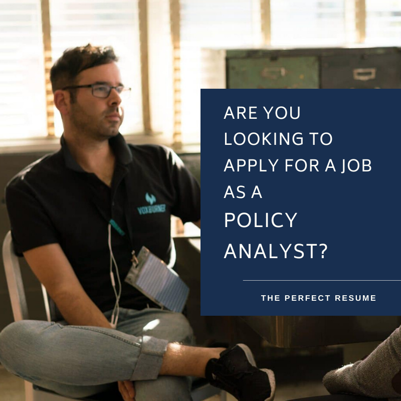 Policy Analyst Resume