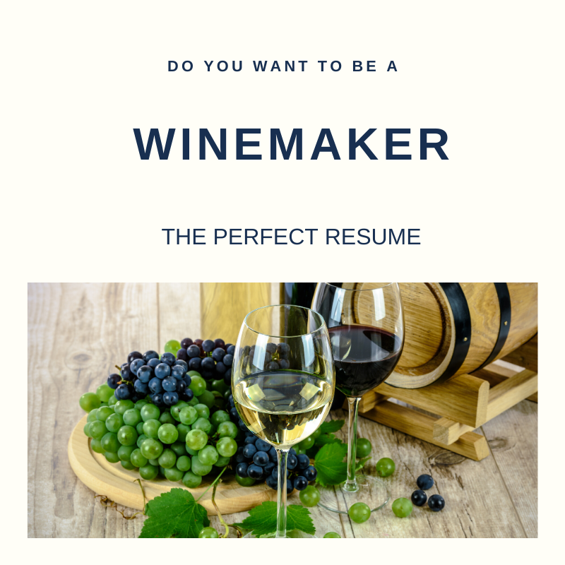 Winemaker Resume